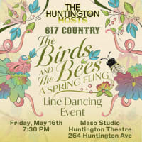 The Birds And The Bees: A Spring Fling thumbnail