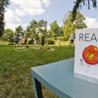 Library in the Landscape thumbnail