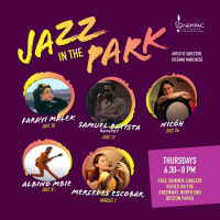 NEMPAC's Jazz in the Park thumbnail