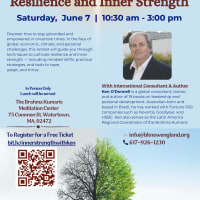 Half-Day Retreat Resilience and Inner Strength thumbnail