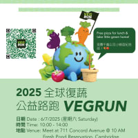 VEGRUN thumbnail