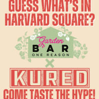 KURED arrives in Harvard Square!! thumbnail