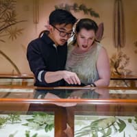ArtsThursdays: A Free Night at the Museums thumbnail