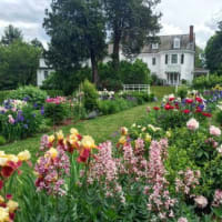 The Bloom Room: Guided Garden Tours thumbnail