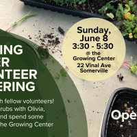Volunteer Gathering in the Garden thumbnail