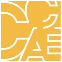 Chinese Noodles *In-Person* thumbnail