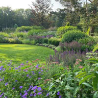 Garden Month by Month Tour: The Summer Garden thumbnail