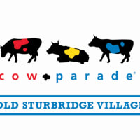 CowParade Opening Weekend thumbnail