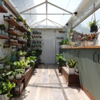 Roaming Greenhouse Pop-up at One Beacon! thumbnail