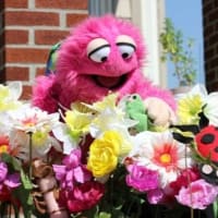 The Bella Show: Bugs! by Brenda Huggins & Phil Berman | Pay-What-You-Can Summer Sundays! thumbnail