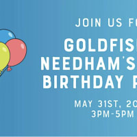 Goldfish Swim School Needham's 10th Birthday Party thumbnail