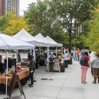 The Kendall Square Farmers Market thumbnail