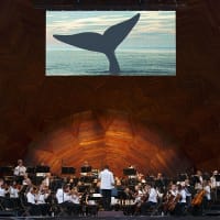Boston Landmarks Orchestra: Debussy and the Music of the Sea thumbnail