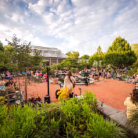 Thursday Summer Evenings at New England Botanic Garden thumbnail