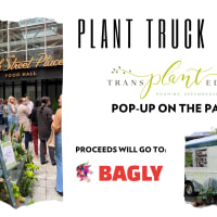 Plant Truck on the Patio thumbnail