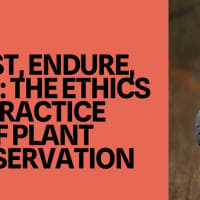Resist, Endure, Adapt: The Ethics and Practice of Plant Conservation thumbnail