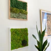 Crafts & Cocktails: Get Lost in the Moss thumbnail