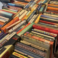 Used book sale - Friends of the Cambridge Public Library thumbnail