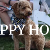 Yappy Hour thumbnail