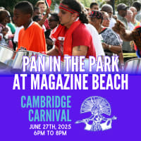 Pan in the Park at Magazine Beach - Free Event thumbnail