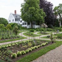 Nature Immersion & Dreamscapes in Ropes Mansion Garden thumbnail