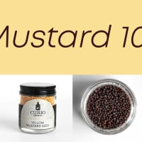 Mustard 101 thumbnail