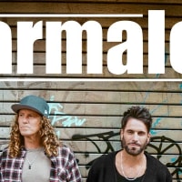 Parmalee thumbnail