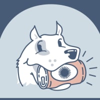 Best Day Brewing Hosts Bark & Brew Boston thumbnail