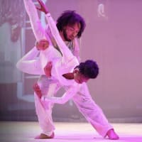 We Move in Color: See and Feel the Journey immersive musical performance comes to the New England Aquarium thumbnail