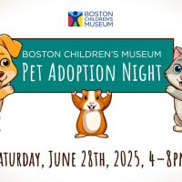 Pet Adoption Event at Boston Children's Museum thumbnail