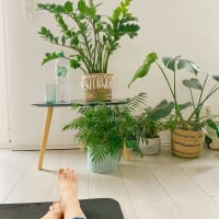 Free Yoga with Plants! thumbnail