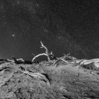 Lightroom: Editing Black & White thumbnail