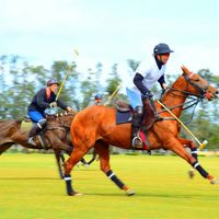 Sports Photography: Polo thumbnail