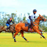 Sports Photography: Polo thumbnail