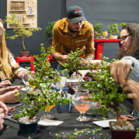 Bonsai Beginner Workshop at Epigram Brewing thumbnail