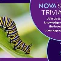 June NOVA Science Trivia thumbnail