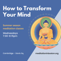 How to Transform Your Mind: a summer session meditation class series thumbnail
