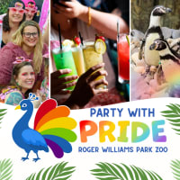 Party with Pride thumbnail