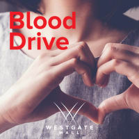 Westgate Mall Hosts Blood Drive with American Red Cross thumbnail