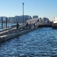 Boston Harbor Ferry Dock Tour thumbnail