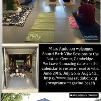Sound Bath Vibe Sessions at Magazine Beach Nature Center thumbnail
