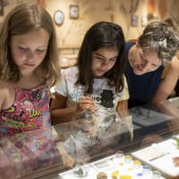 Double Take Exhibit Exploration thumbnail