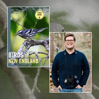 Zach Adams at the Cambridge Public Library thumbnail