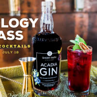 Summer Cocktails Mixology Class thumbnail