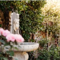 Summer BloomFest: Full Bloom Garden Tour  thumbnail
