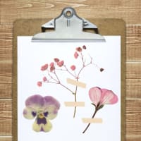 Summer BloomFest: Pressed Flower Workshop and Garden Tour thumbnail