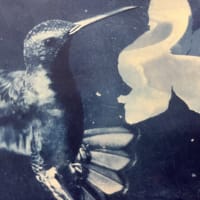 Cyanotype Workshop thumbnail