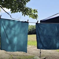 Fresh Leaf Indigo Dyeing thumbnail