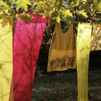 Garden Grown and Foraged Natural Dyes thumbnail