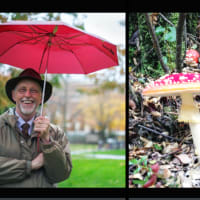 Research Spotlight: Mycorrhizae and the Arboretum Truffle thumbnail